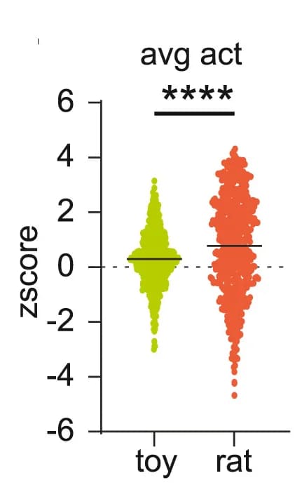 Open access visualization of Scatter Plot, Average Activity