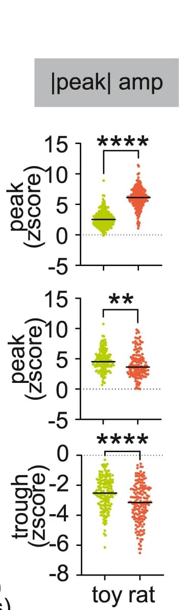 Open access visualization of Scatter Plot, Peak Amplitude, Trough Amplitude