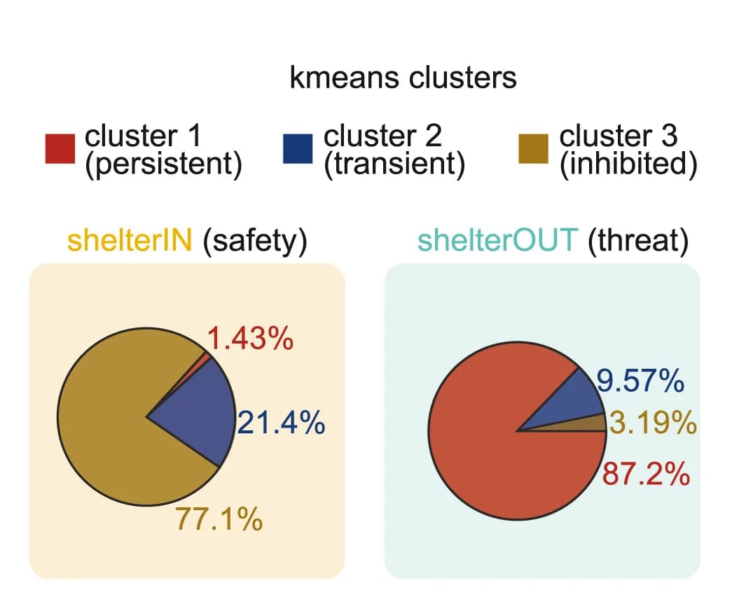 Open access visualization of Pie Chart, Pie Charts, ShelterIN Subpopulations, ShelterOUT Subpopulations, K-means Clusters