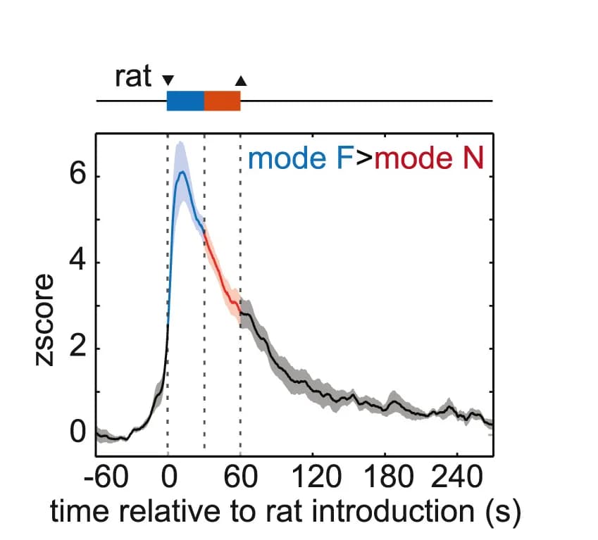 Open access visualization of Line Plot, Error Bars, VMHdmSF1 Neurons, Population Response, Mode N