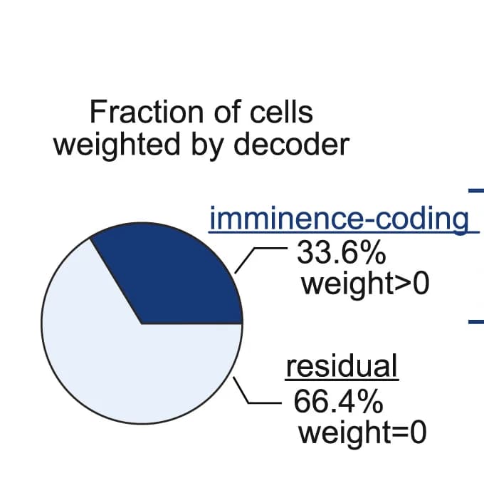 Open access visualization of Pie Chart, Cell Weighting, Decoder, Imminence-Coding Population