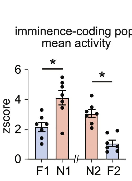 Open access visualization of Bar Plot, Error Bars, Average Response, Peak Amplitude, Imminence-Coding Population