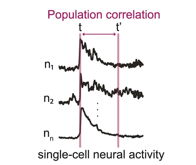 Open access visualization of Line Plot, Population Correlation, Diagram