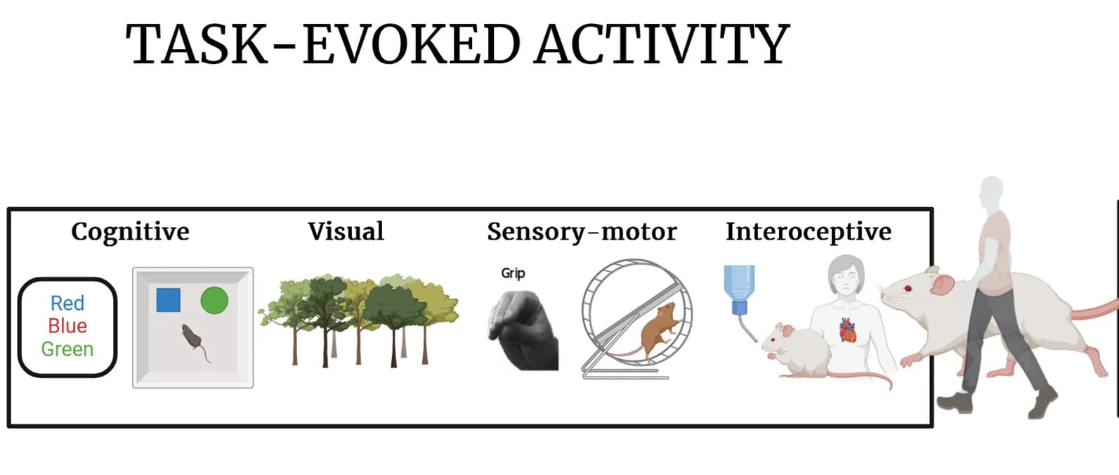 Open access visualization of Illustration, Workflow, Task States, Statistical Learning, Pattern Recognition