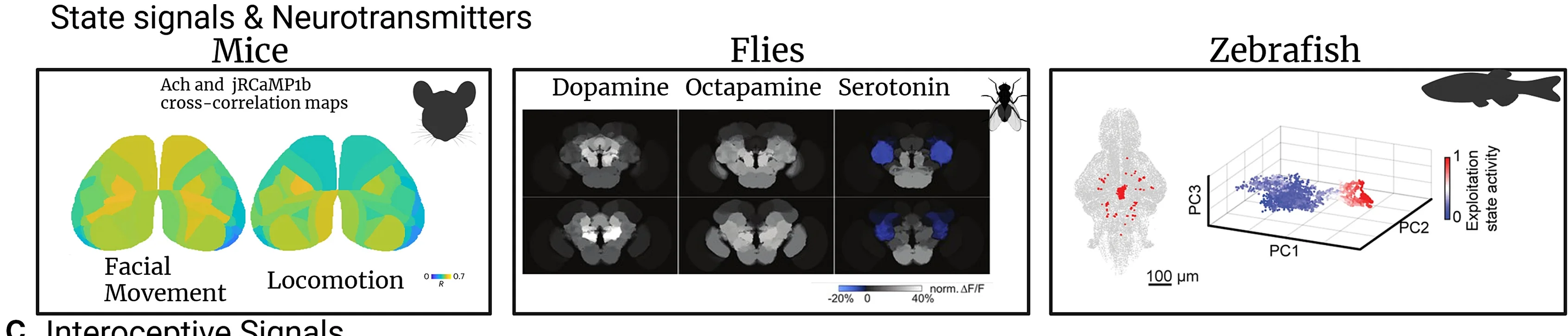 Open access visualization of 3D Plot, Mice, Calcium Activity, Acetylcholine, Facial Movements