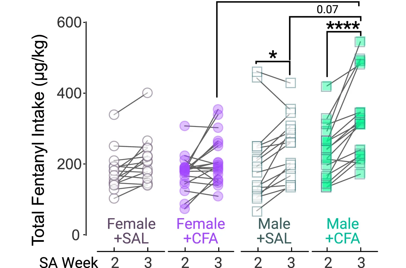 Open access visualization of Line Plot, Scatter Plot, Fentanyl Intake, SA Week, Males