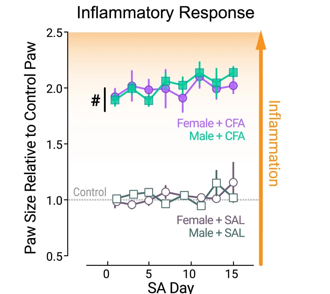 Open access visualization of Line Plot, Error Bars, Caliper Measurements, Paw Thickness, Fentanyl
