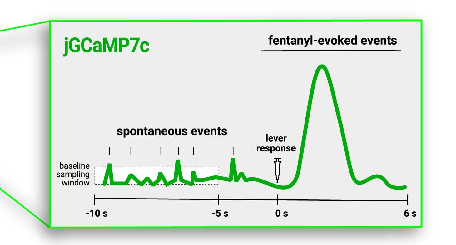 Open access visualization of Line Plot, Line Step, Event Detection, VTADA Events, Fentanyl