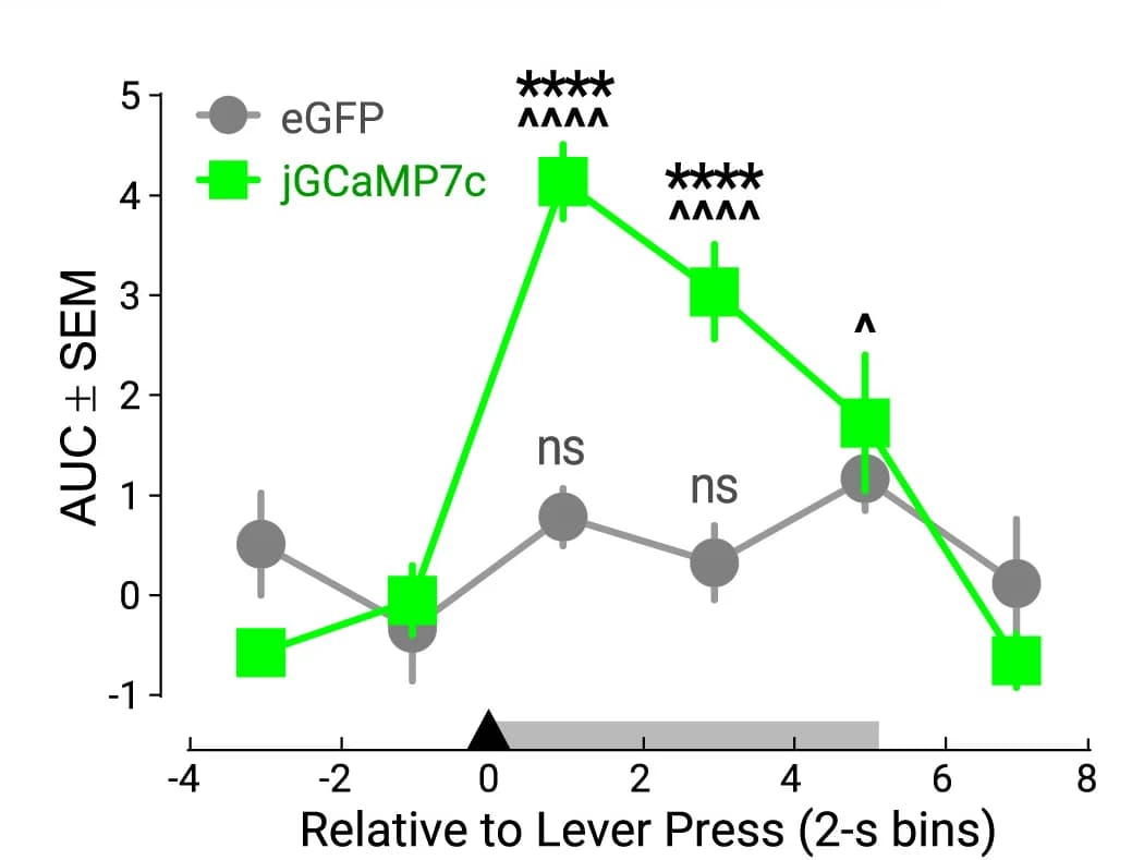 Open access visualization of Line Plot, Error Bars, Area Under Curve, Fentanyl, VTADA Neurons