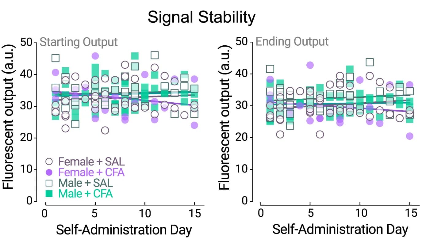 Open access visualization of Scatter Plot, Regression Plot, Fluorescence, Self-Administration, Recording Sessions