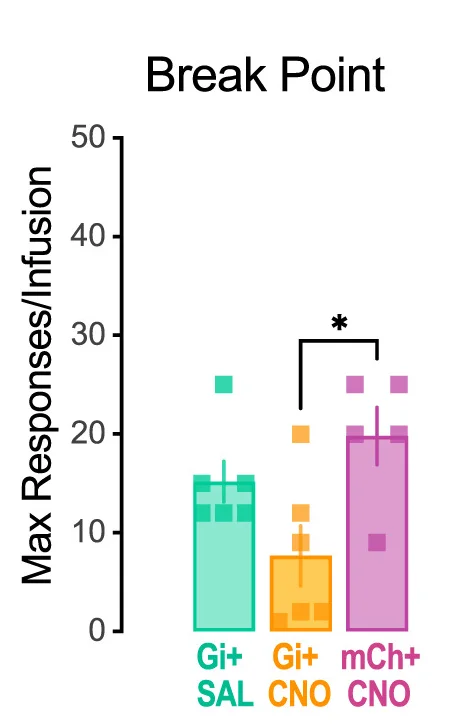 Open access visualization of Bar Plot, Error Bars, PR Break Point, Males, CNO