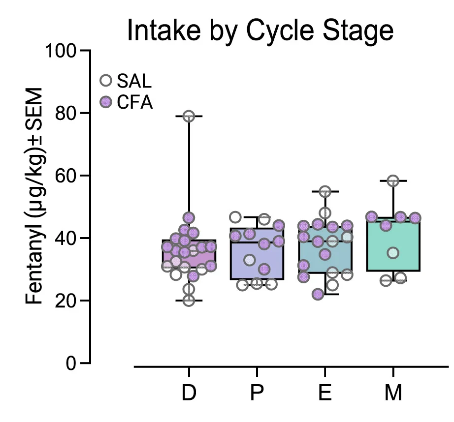 Open access visualization of Box Plot, Scatter Plot, Fentanyl Intake, Self-Administration, Cycle Stage