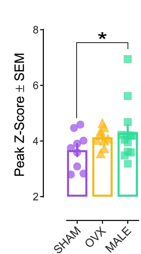 Open access visualization of Bar Plot, Error Bars, Scatter Plot, Fentanyl, VTADA
