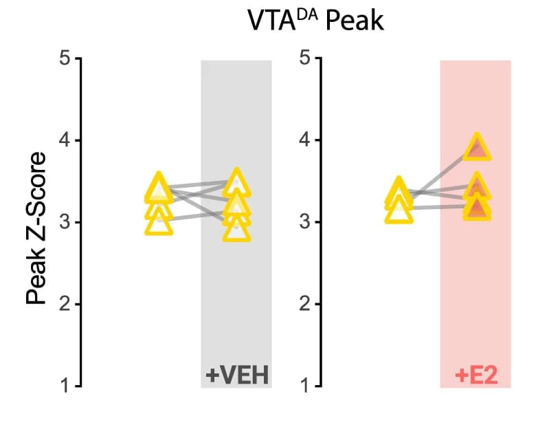 Open access visualization of Scatter Plot, Line Plot, PeakZscore, Estradiol, VEH
