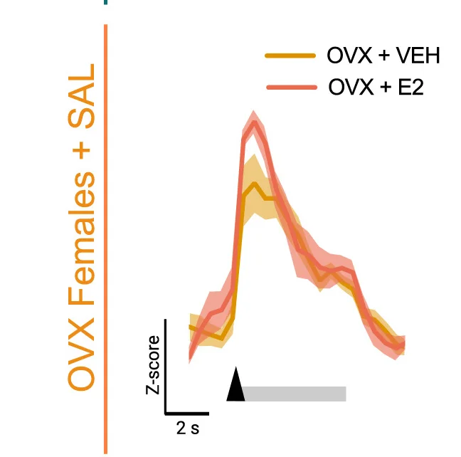 Open access visualization of Line Plot, Error Bars, VTADAactivity, SAL OVX Females