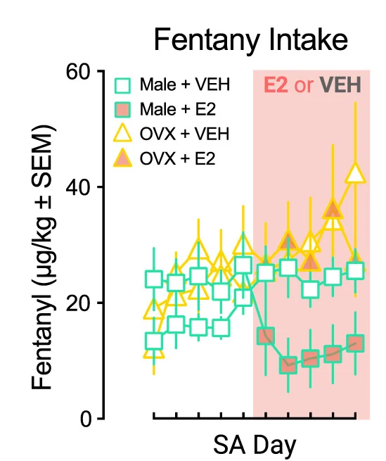 Open access visualization of Line Plot, Error Bars, Mean Fentanyl Intake, Males, OVX Females