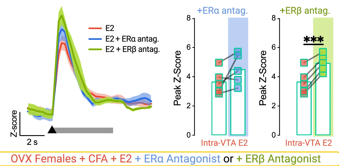 Open access visualization of Line Plot, Bar Plot, Error Bars, Bar, Fentanyl