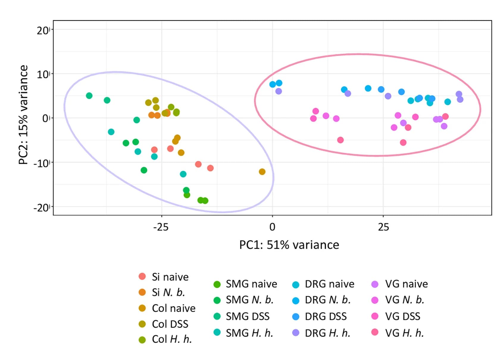 Open access visualization of Scatter Plot, PCA, Principal Component Analysis, RNA Sequencing, Nuclei