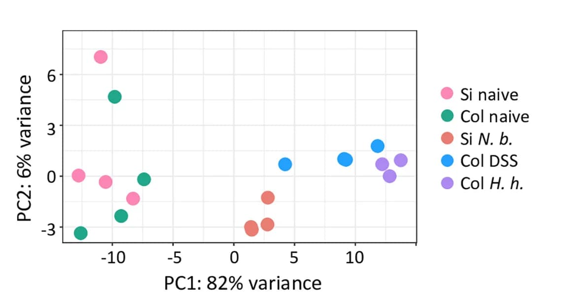 Open access visualization of Scatter Plot, PCA, RNA-seq, Myenteric Plexus, Nuclei