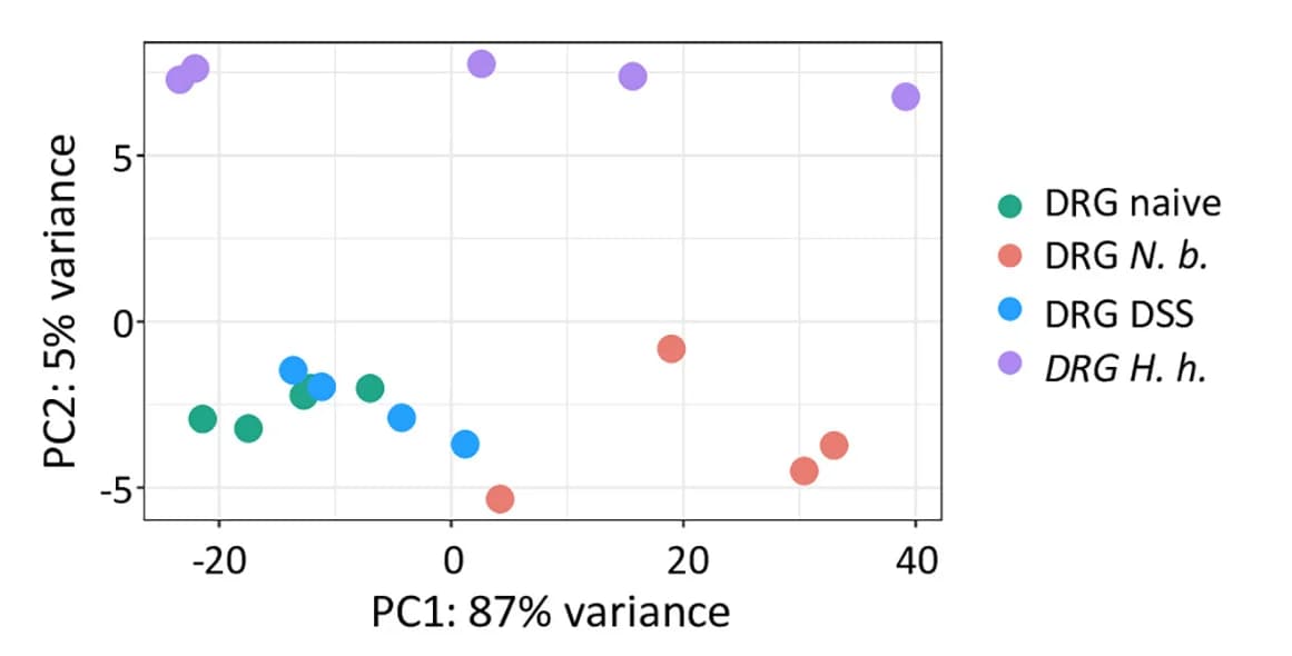 Open access visualization of Scatter Plot, PCA, Principal Component Analysis, Bulk RNA-Seq, Nuclei