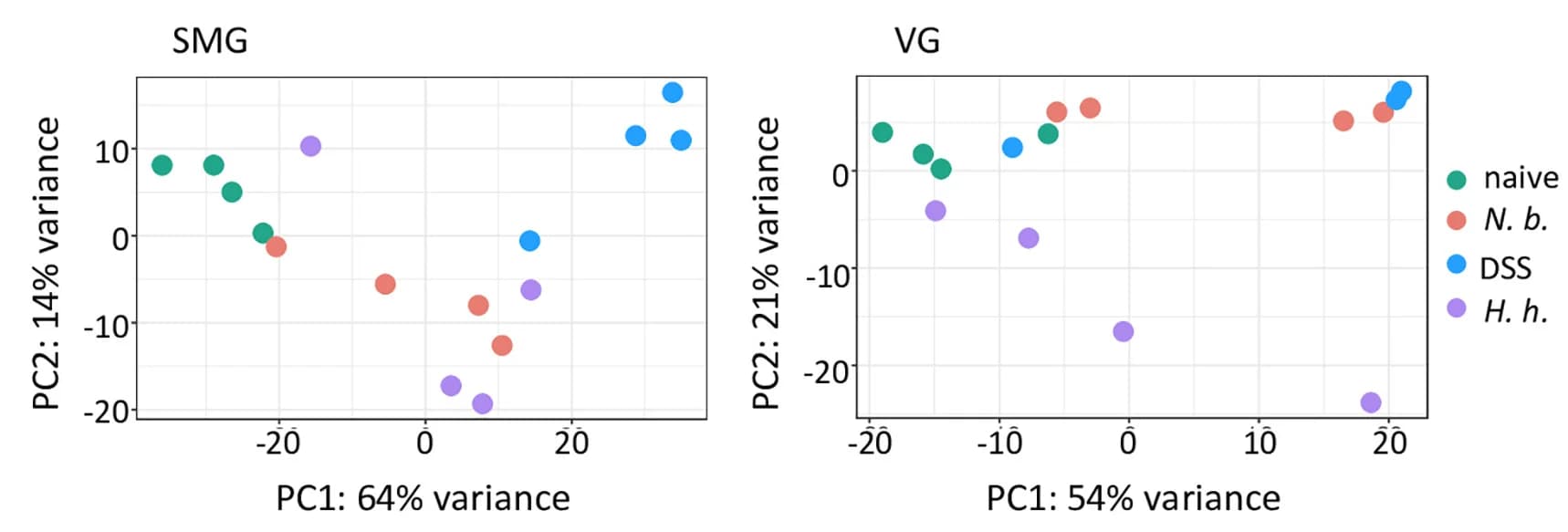 Open access visualization of Scatter Plot, PCA, RNA-seq, Nuclei, SMG