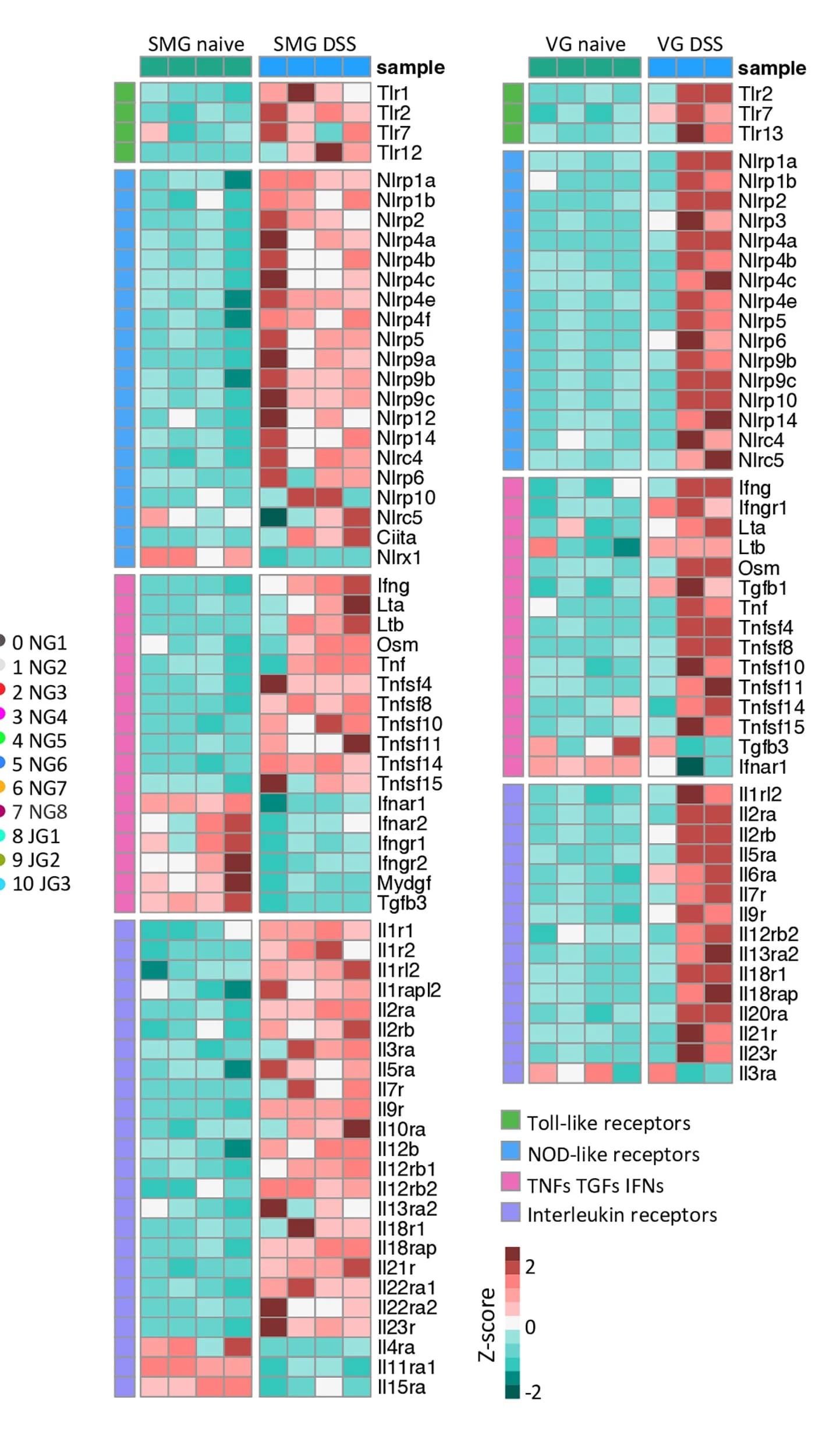 Open access visualization of Heatmap, Immune-related Genes, Dysregulation, SMG, VG