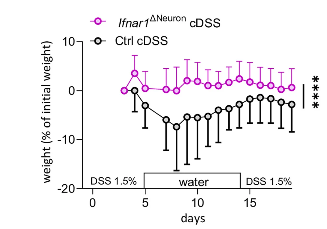 Open access visualization of Line Plot, Error Bars, Chronic DSS-Induced Colitis, Weights