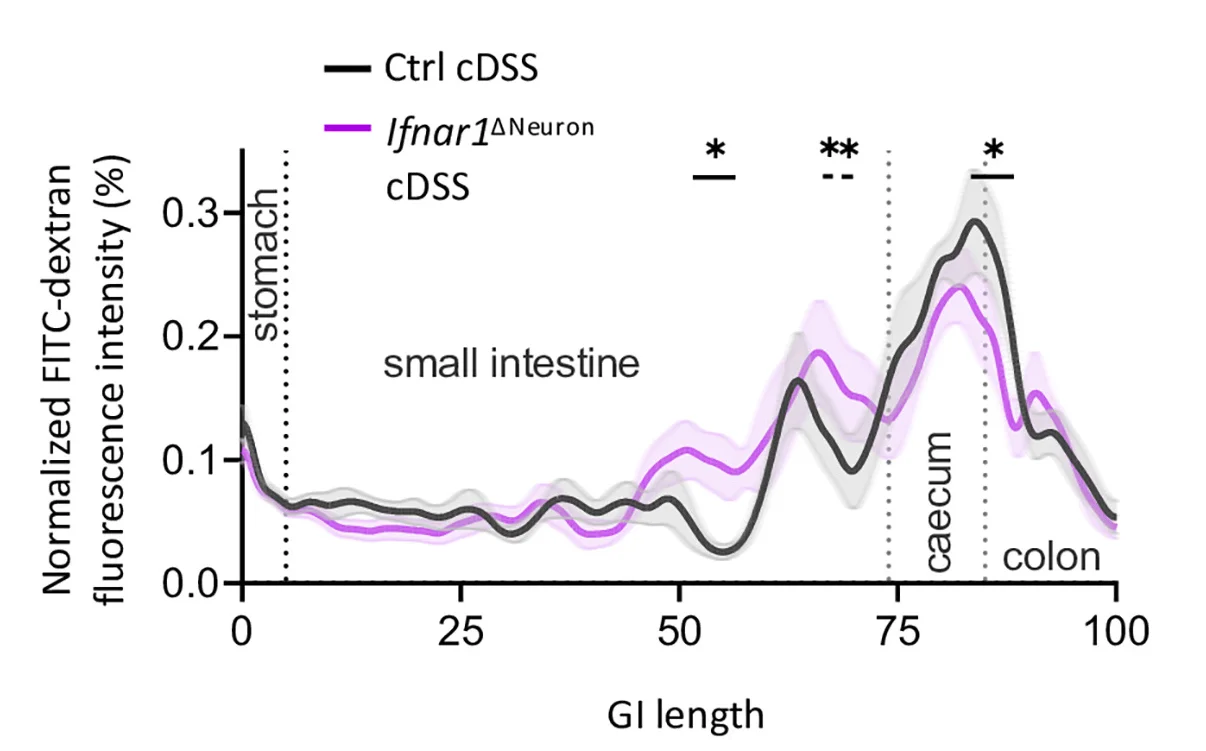 Open access visualization of Line Plot, Error Bars, Chronic DSS-Induced Colitis, Gut Motility, FITC-Dextran