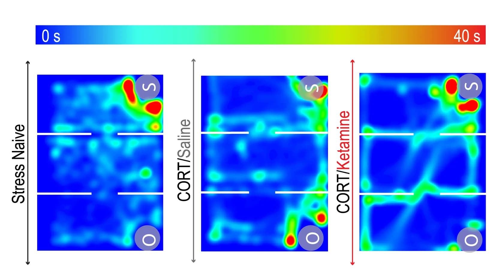 Open access visualization of Heatmap, Occupancy Plots, Stress-Naive Mouse, Stressed Mice, Saline
