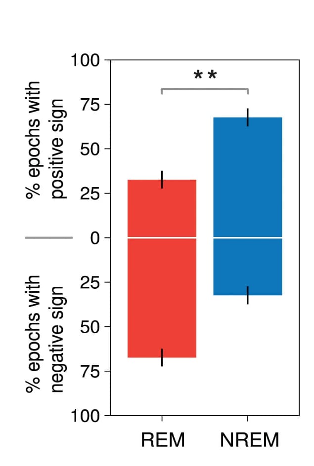 Open access visualization of Bar Plot, Error Bars, REM Epochs, NREM Epochs, Drift Score