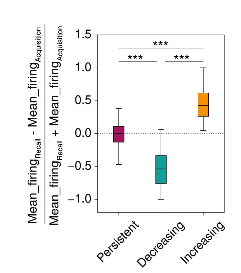 Open access visualization of Box Plot, Firing Rate Change, Persistent Cells, Decreasing Cells, Increasing Cells