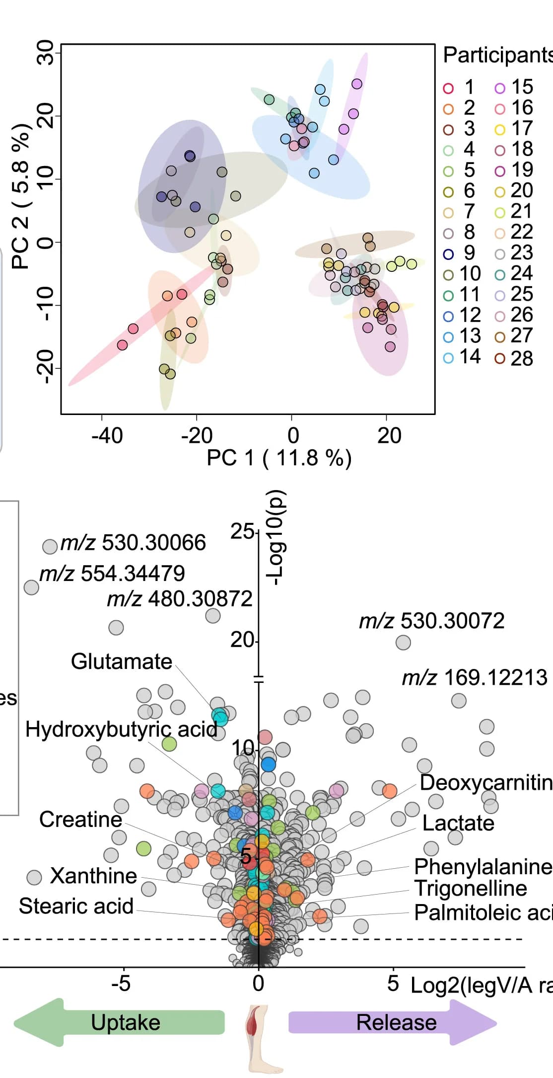 Open access visualization of PCA, Scatter Plot, Volcano Plot, Principal Component Analysis, Metabolomics