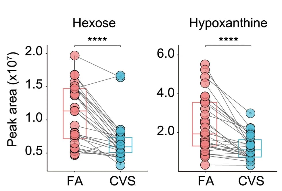 Open access visualization of Scatter Plot, Box Plot, Metabolites, Brain, Scatterplots