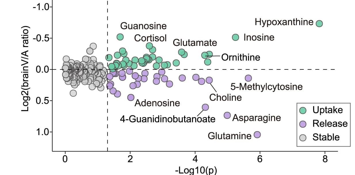 Open access visualization of Scatter Plot, Volcano Plot, Circulating Metabolites, In-House Library, Arteriovenous Difference