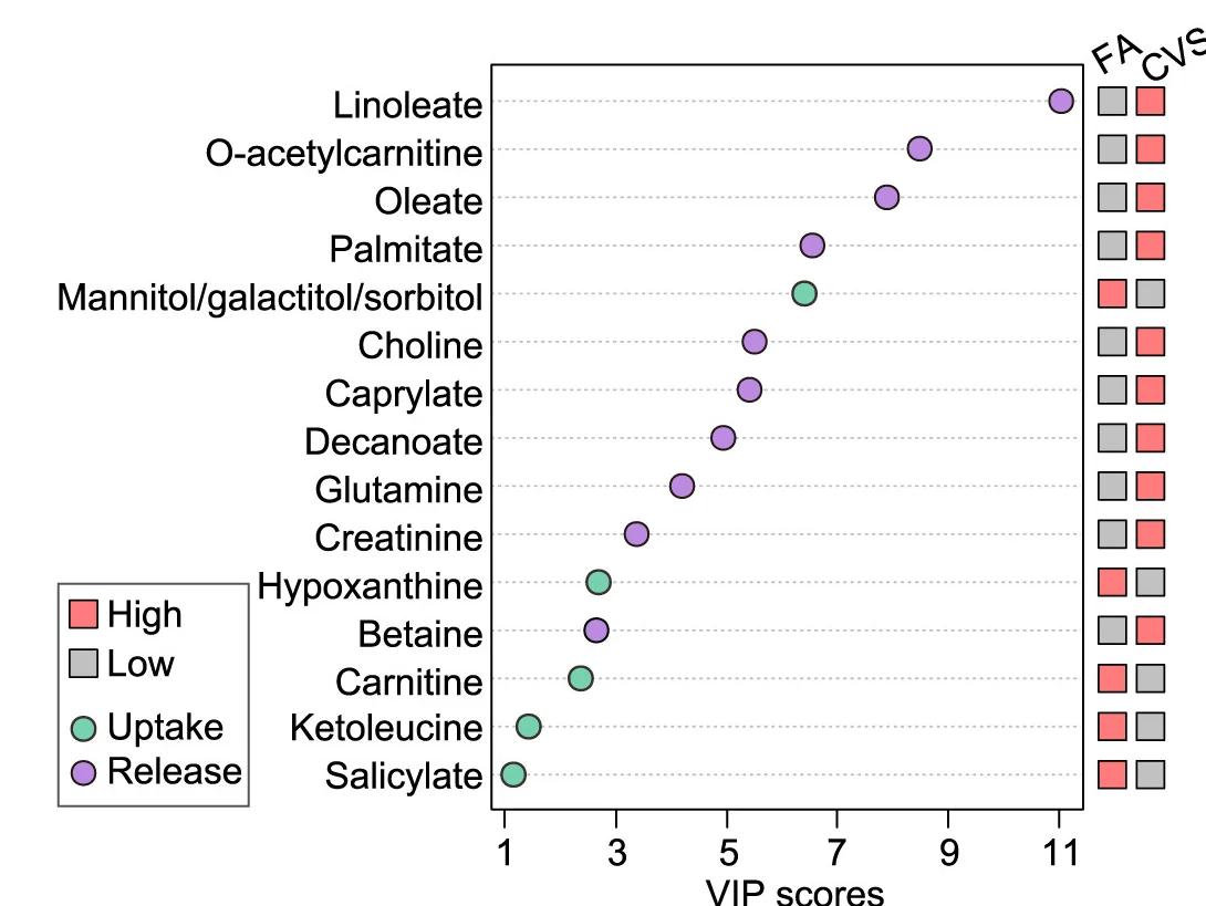 Open access visualization of Scatter Plot, Variable Importance In Projection Scores, Metabolites, FA, CVS