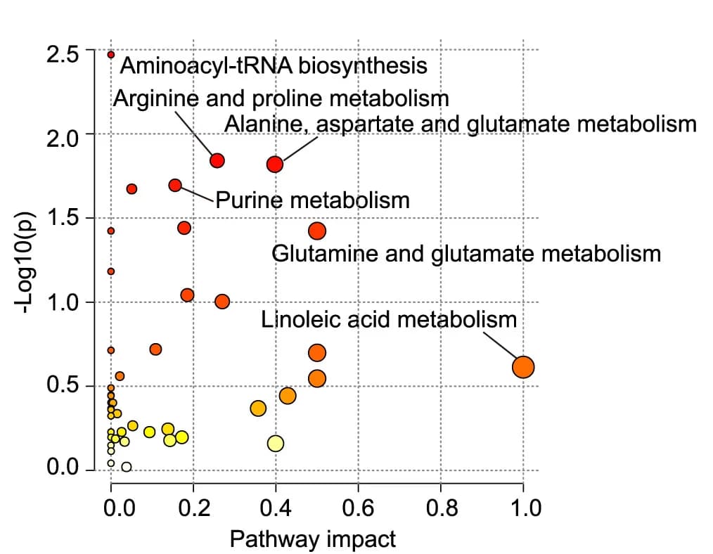 Open access visualization of Bubble Plot, Pathway Analysis, Metabolites, Brain, Arteriovenous Difference