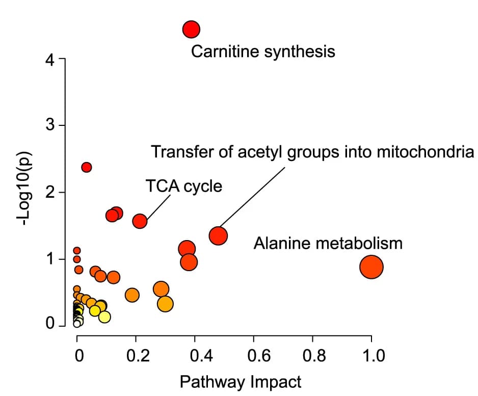 Open access visualization of Scatter Plot, Bubble Plot, Pathway Analysis, Metabolites, Uptake