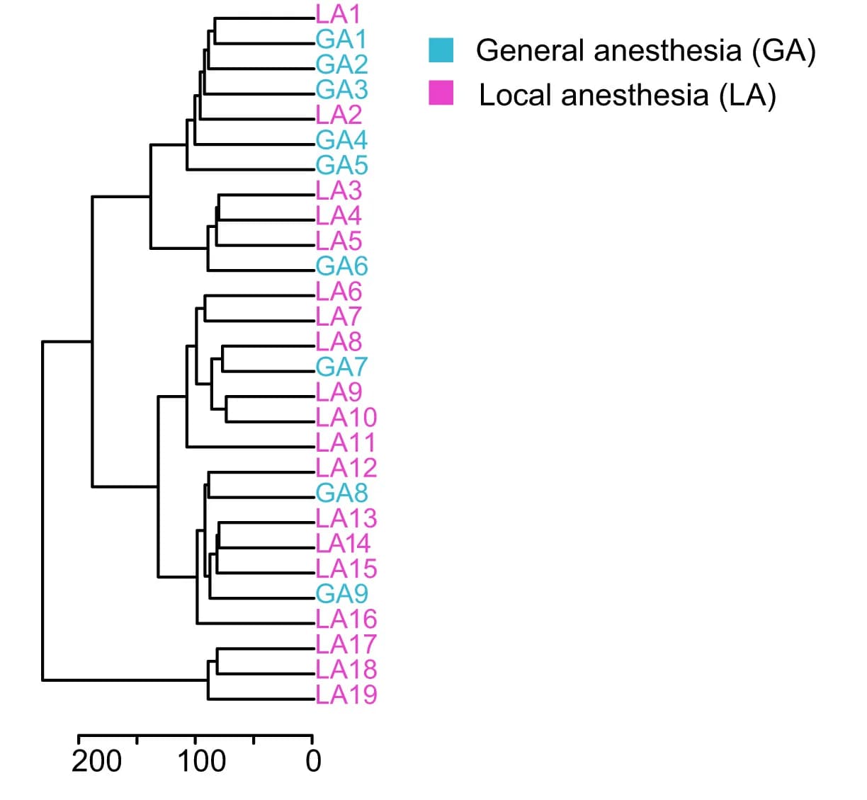 Open access visualization of Network, Hierarchical Clustering, Femoral Artery, Metabolites