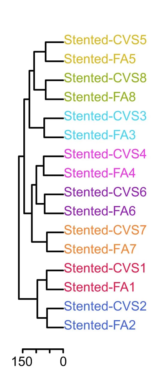 Open access visualization of Network, Hierarchical Clustering, Plasma Samples