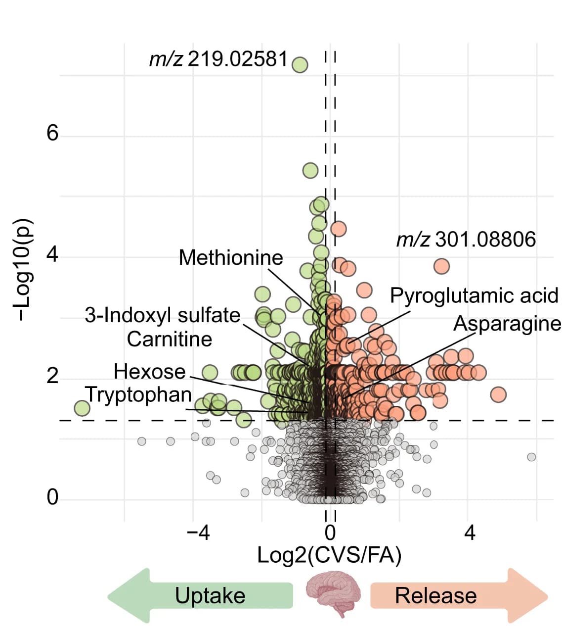 Open access visualization of Volcano Plot, Scatter Plot, Volcano Plots, Metabolites, Brain