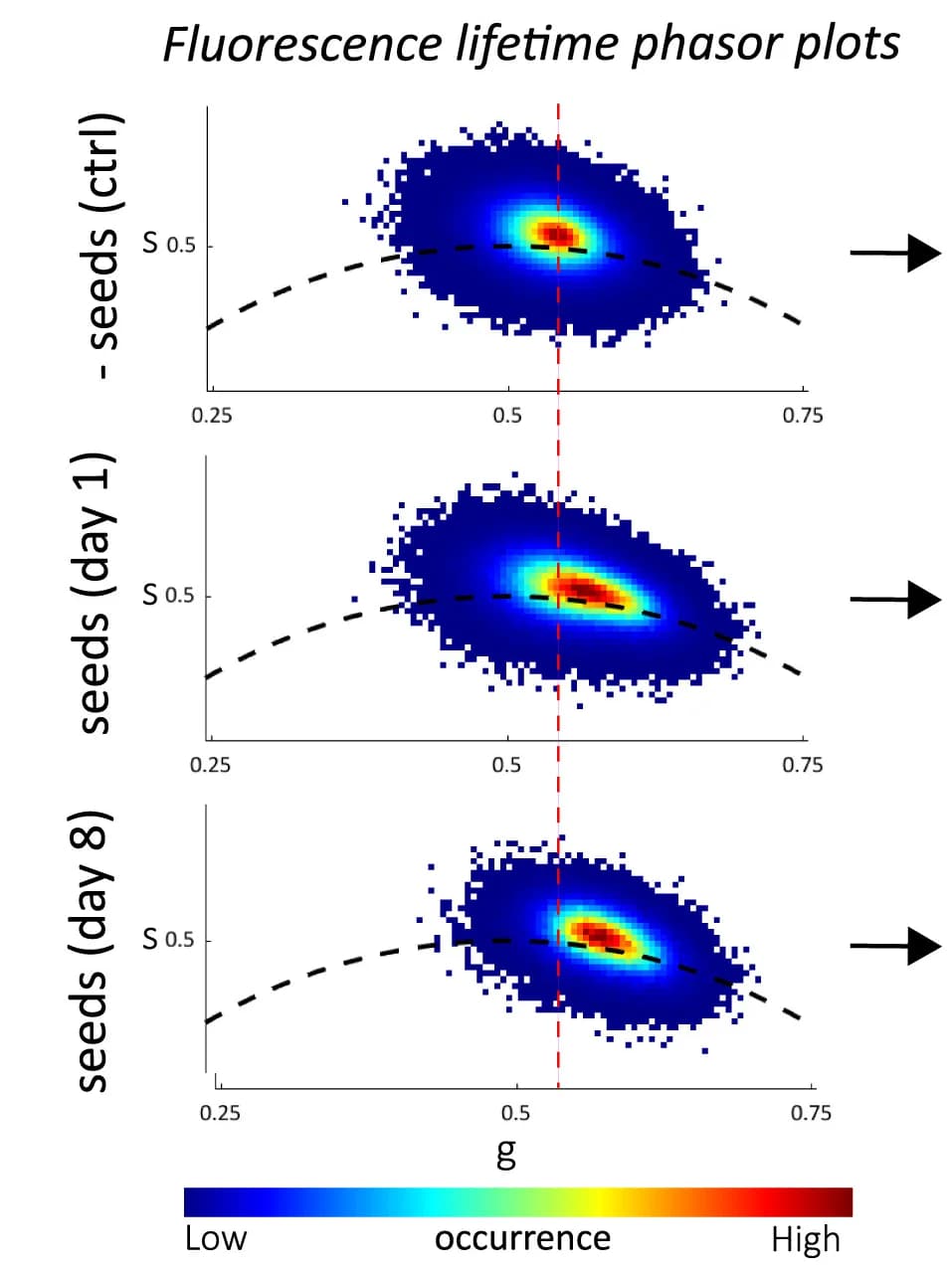 Open access visualization of Scatter Plot, Density Plot, Phasor Plots, Fluorescence Lifetime Distributions, Seeds