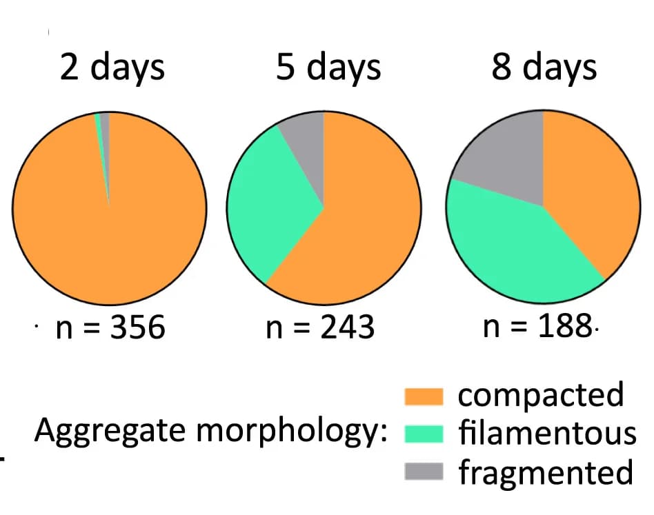 Open access visualization of Pie Chart, Aggregates, Compacted Aggregates, Filamentous Aggregates, Fragmented Aggregates