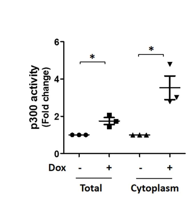 Open access visualization of Scatter Plot, Error Bars, p300 Activity, A53T alpha-Syn, SH-SY5Y Cells