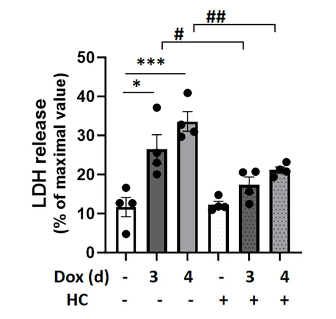 Open access visualization of Bar Plot, Error Bars, Scatter Plot, LDH Release, A53T alpha-Syn