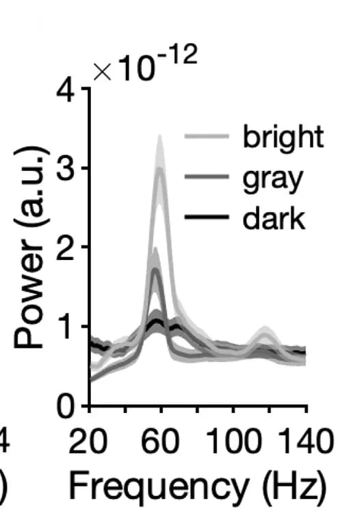 Open access visualization of Line Plot, Error Bars, Density Plot, PSD, Dark Periods