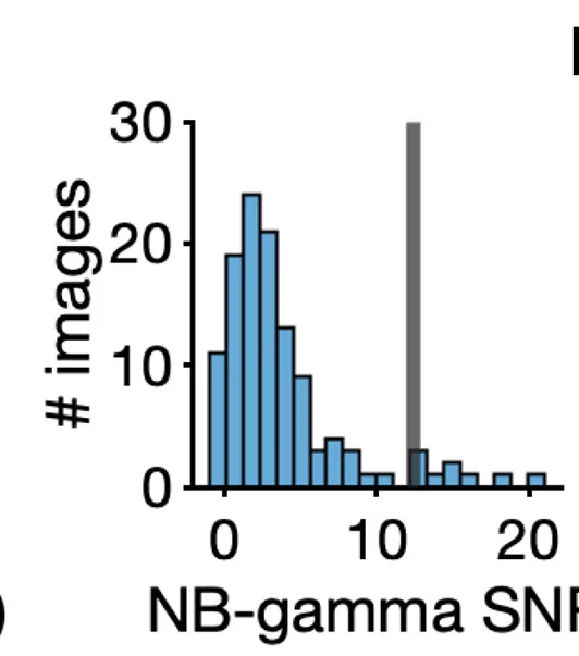 Open access visualization of Histogram, Bar Plot, Relative Power, SNR, NB-gamma Peak