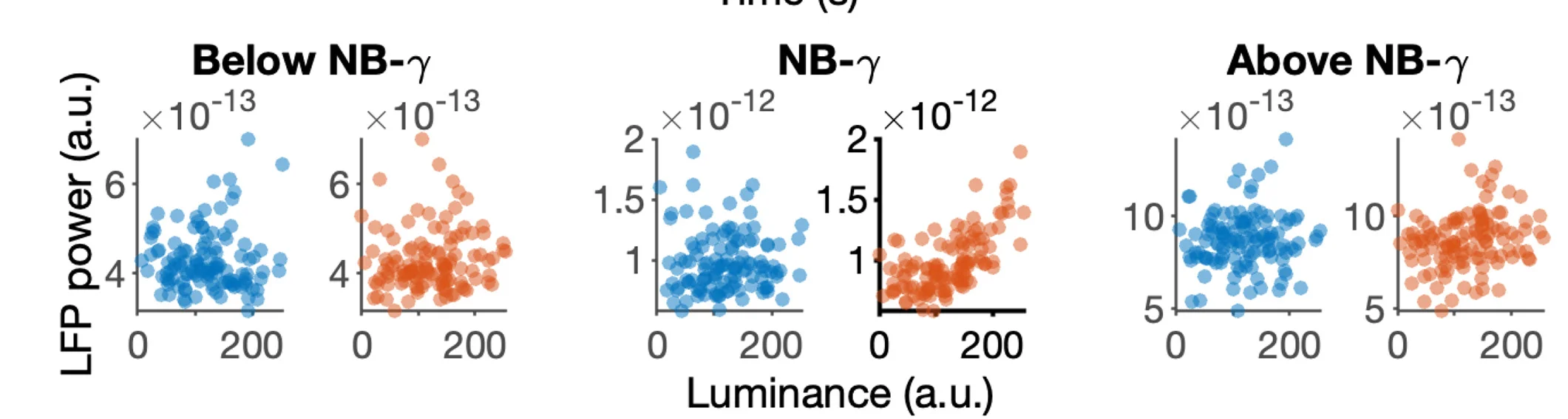 Open access visualization of Scatter Plot, V1-L4 LFP Power, NB-gamma, Local Luminance, Rank Correlations