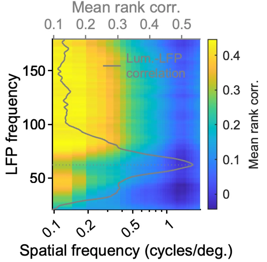 Open access visualization of Heatmap, Line Plot, Density Plot, Rank Correlation, Spatial Frequency Power
