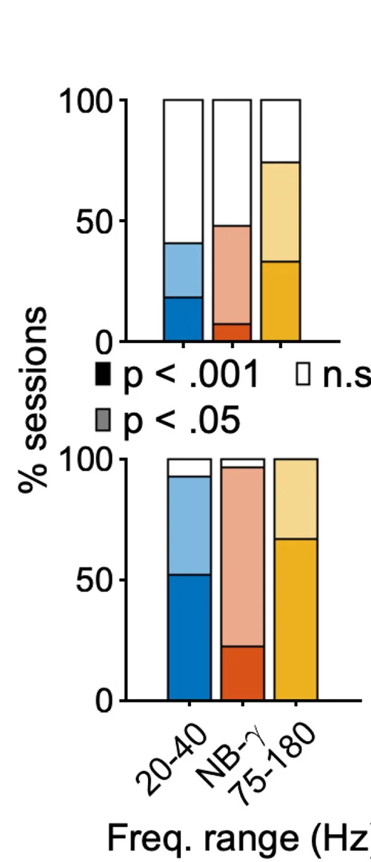 Open access visualization of Stacked Bar Plot, Significant Spatial Peaks, Correlation Maps, Spatial Frequency Power, LFP Power