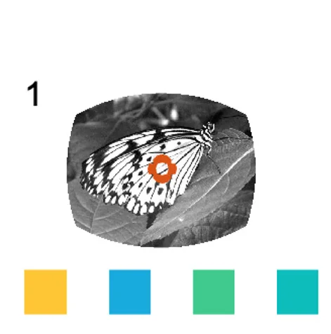 Open access visualization of Photo, Visual Feature Extraction, Low Dimensional Embedding, Luminance, Low Spatial Frequency Power